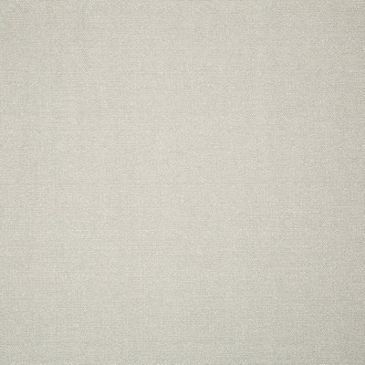 Solids & Textures 15 Mp Thailynn Fabric