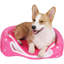 Spring Fever Hamster Guinea Pig Rabbit Dog Cat Chinchilla Hedgeh...