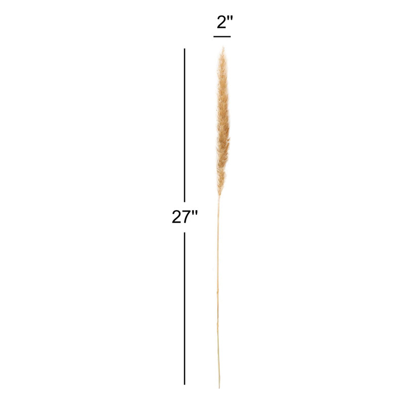 Noemie 27" Pampas Grass, Tan