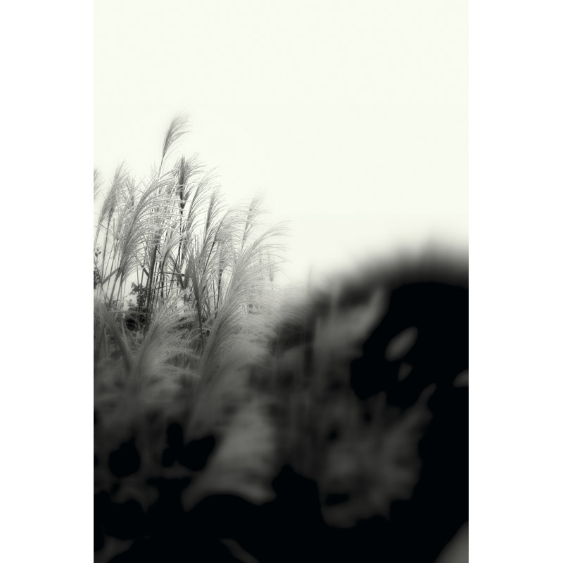 Photography Landscape 181 - Wrapped Canvas Print, 46cm H x 30cm W x 3.8cm D