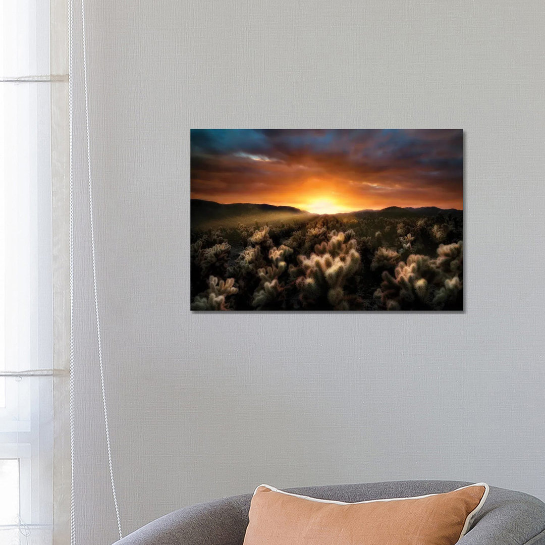 Cholla Sunrise von Dennis Frates - Giclée auf Leinwand ohne Rahmen Galerieverpackt