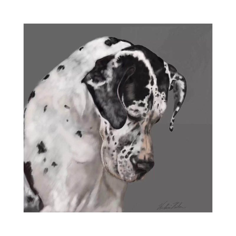 Great Dane by Vicki Newton - Wrapped Canvas Print, 30.48 cm H x 30.48 cm W