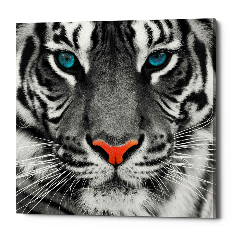 «Thrill of the Tiger», art mural sur toile, H 26 po x l 26 po x P 1,25 po
