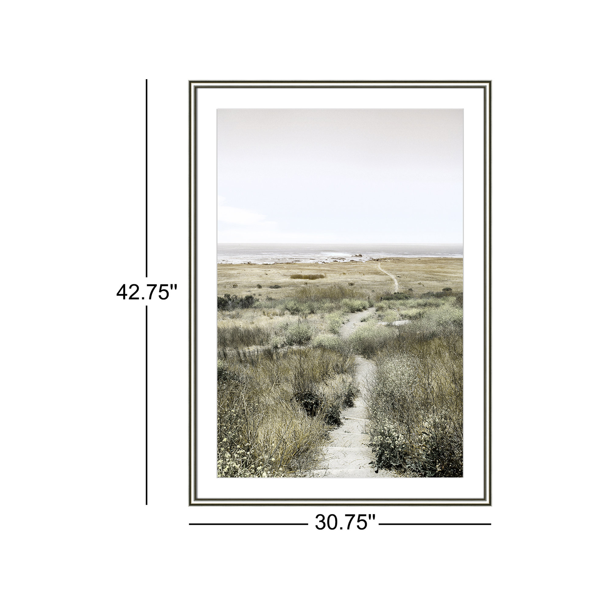 Footpath to Paradise by Danita Delimont - Picture Frame Photograph, Silver, 30.75 W x 42.75 H x 0.88 D