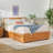 Mid Century Modern Solid Wood Queen Storage Bed With 2 Drawers-1491850536