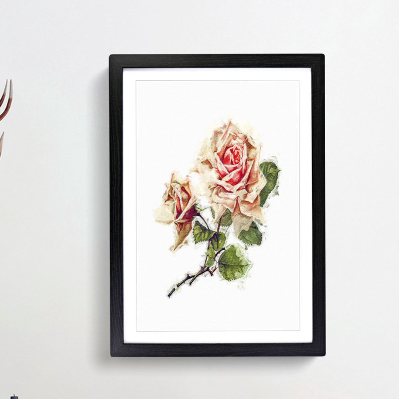 Pink Rose Illustration - Picture Frame Painting Print, Black Framed, 36cm H x 27cm W x 2cm D
