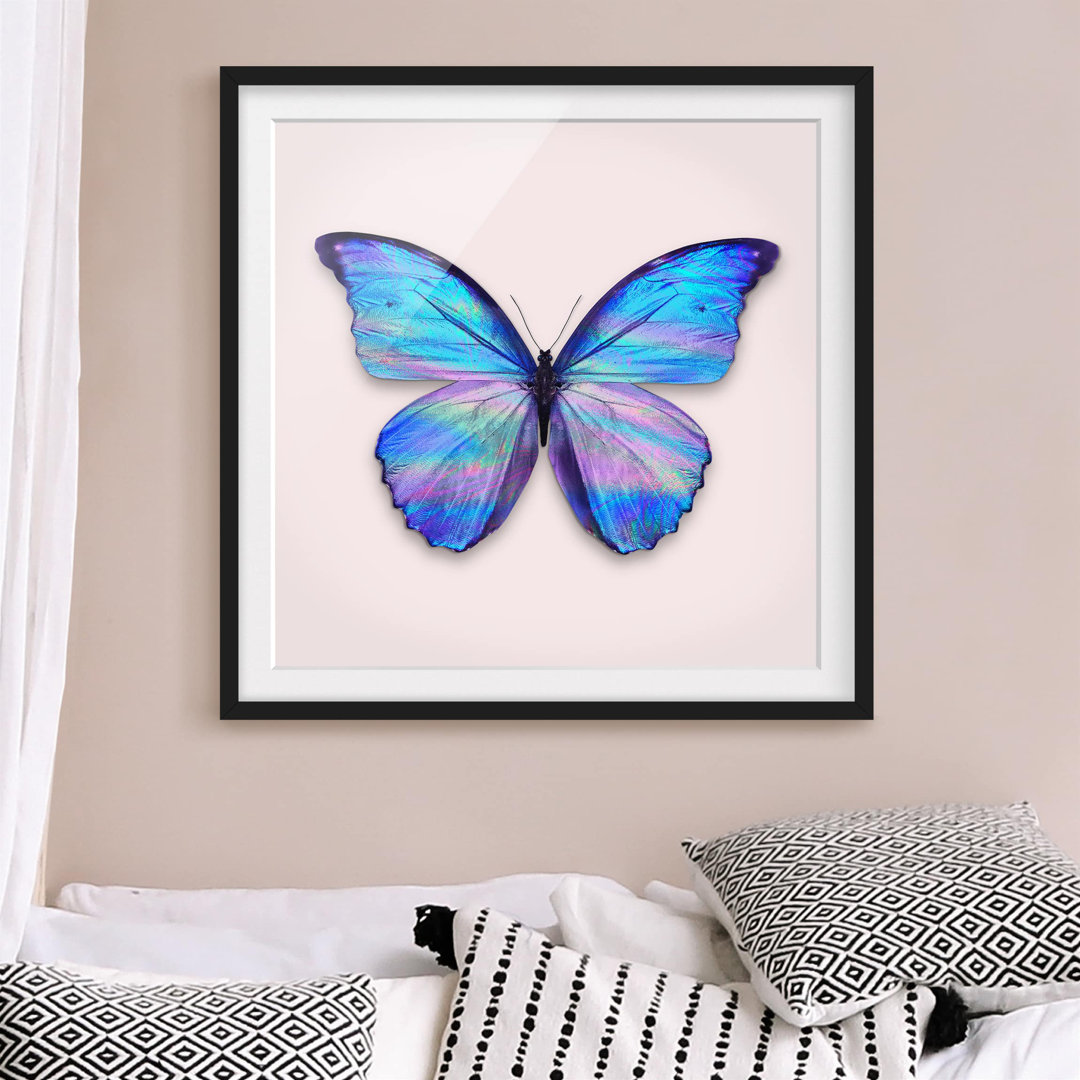 Gerahmtes Poster Holographic Butterfly von Jonas Loose