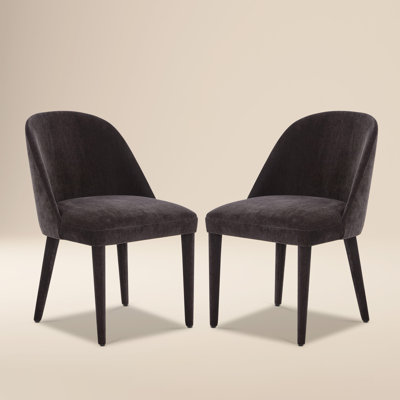 Labin Luxurious Fabric Dining Chair (Set of 2)