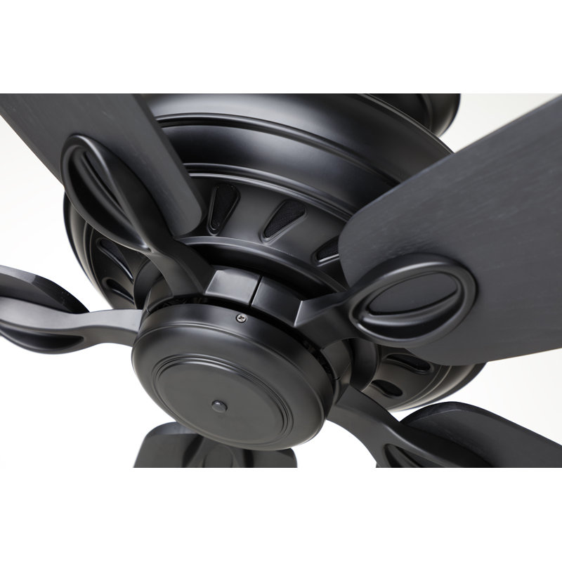 Ventilateur de plafond standard avec commande murale, Noir barbecue