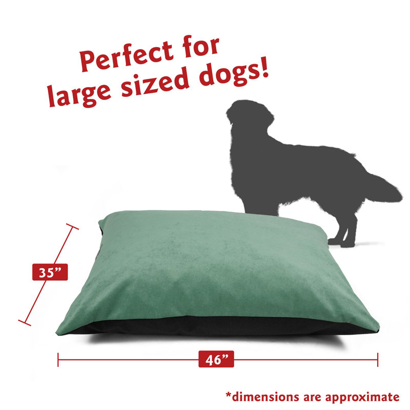 Coussin pour chien Villa Majestic, Grand (l 46 po x P 35 po x H 4 po), Bleu sarcelle / vert