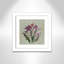 «Botanical Posters», Jardin Botanique II, cadre photo-60137136-60137137