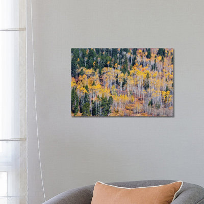 Autumn Layers of Trees I 1 Piece Wrapped Canvas Wall Art