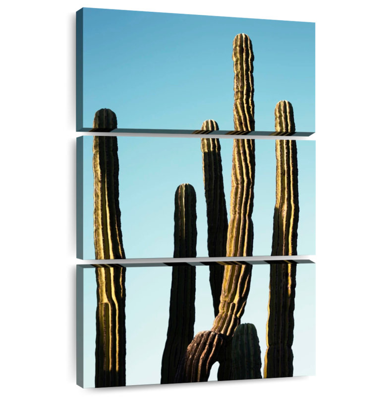 Harnek Golden Cacti, 32" H x 20" W