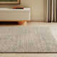 Amasa Beige Rug