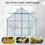 Serre en polycarbonate 8 x 8 avec double porte pour cour arrière verte