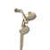 Kohler Purist® 2-In-1 Multifunction Shower Combo Kit, Showerhead and Handshower, Three Spray Settings