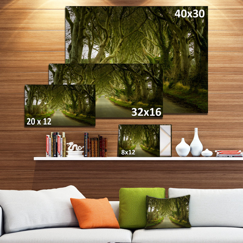 Dark Hedges Road Landscape Canvas Art Print, 32" x 16"