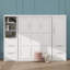 Grand lit escamotable mural avec espace de rangement intégré-527417319