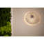 Onn Wall Sconce