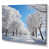 Toile tendue