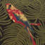 Polly Fabric