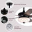 Layza Ceiling Fan with Light Kit