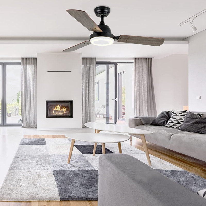 Lallu 44'' Ceiling Fan with LED Lights