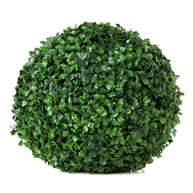 Faux Plant, Common