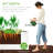  4X2x2ft Outdoor Metal Raised Garden Bed For Vegetables Flowers Herbs - White-349714912-349714920