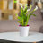 Lilabai Pot Planter-1729276110-1729276105