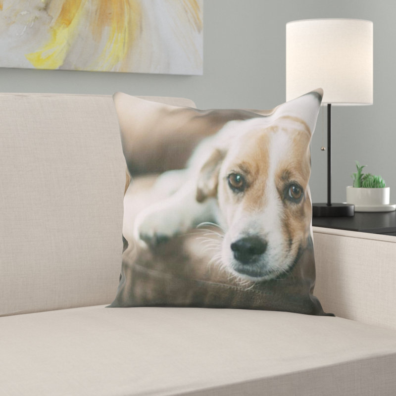 Coussin pour chien