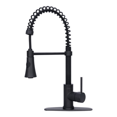 Akicon Pull Down Kitchen Faucet