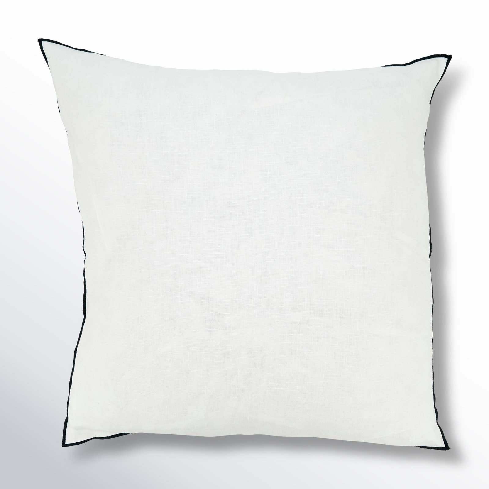 Riggs 20" x 20" Linen Throw Pillow, Black, Polyester