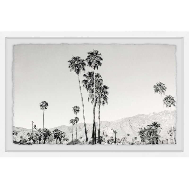 Palm Tree Forest by Morgan Hartley - Single Picture Frame Print, 61cm H x 91cm W x 4cm D