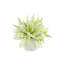 Heather Holiday Floral Arrangement