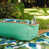 Green Tropical Palm