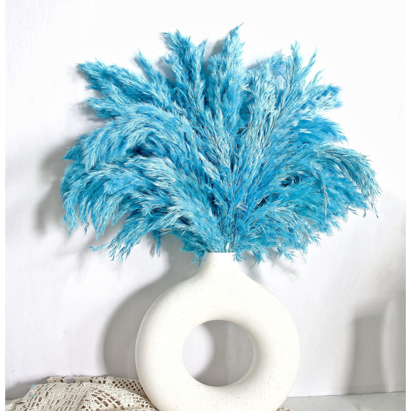 Plante grimpante 17 po Atalaya, 20, Bleu