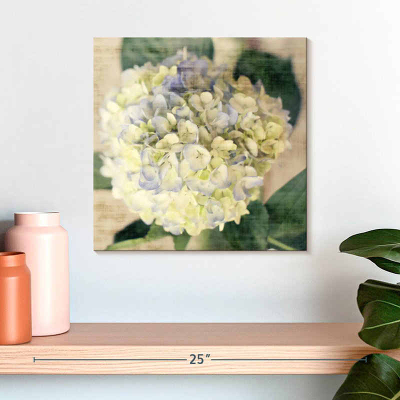 Harnek Hydrangeas II, 16" H x 16" W