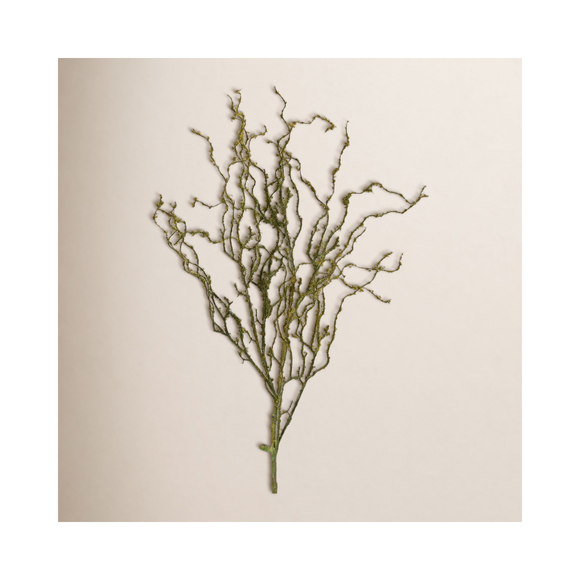 Twig Stem