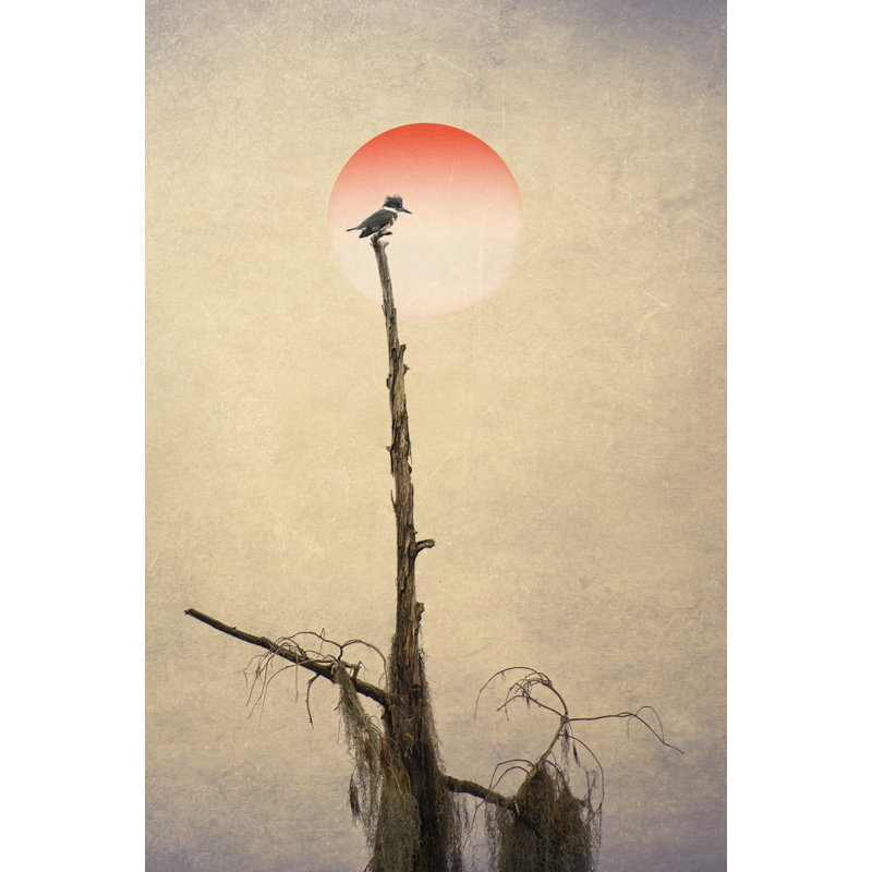 Wrapped Canvas Print, 76.2 cm H x 50.8 cm W