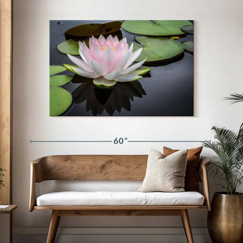 Lotus blanc rosé Harnek, H 32 po x l 48 po