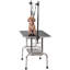 Table de toilettage pour animaux avec pattes pliantes-100930536-107232130