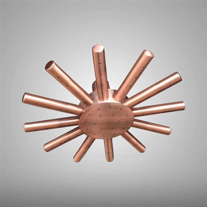 Pomme de douche BathSelect