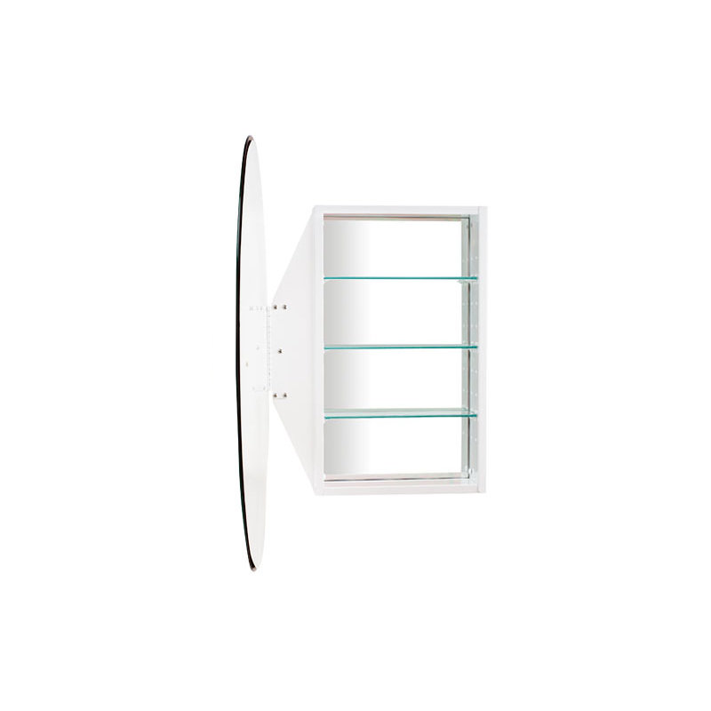 21.25'' W Mirrored Medicine Cabinet