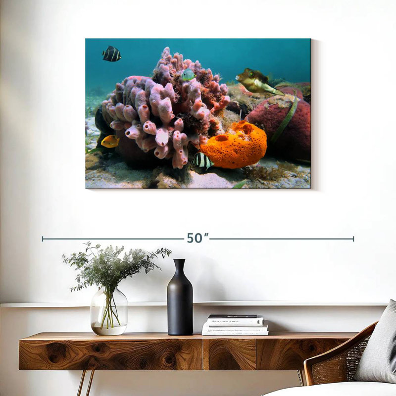 Brampt Pink Sea Sponge, 24" H x 36" W