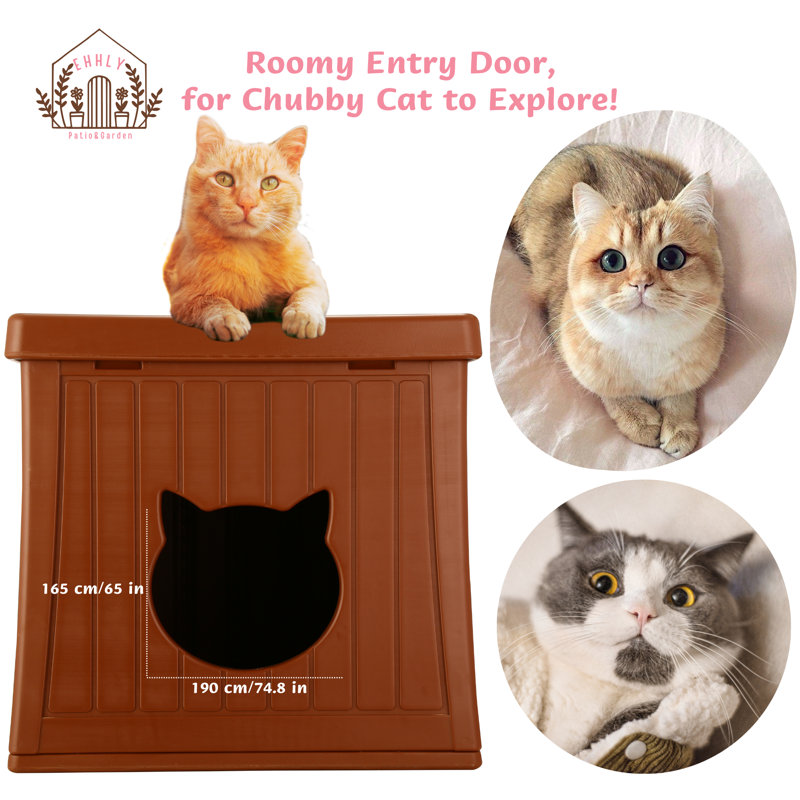 Extérieur pour chat EHHLY, Caramel