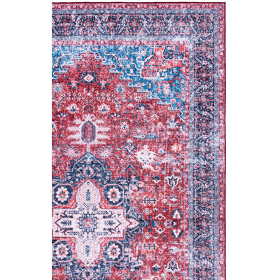 Fason 316 Performance Machine Washable Oriental Rug