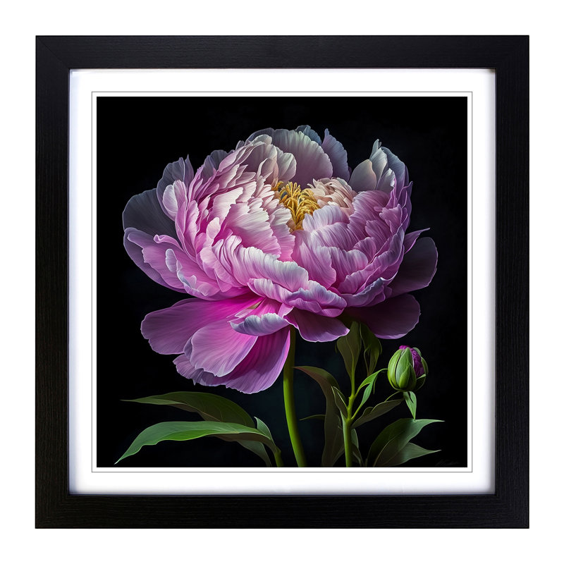 Peony Flower Floral Art - Framed Print, Black