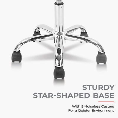 Backed Adjustable Height Ergonomic Lab Stool Wheels