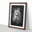 The Proud Lion - Framed Print-56742563-56742564